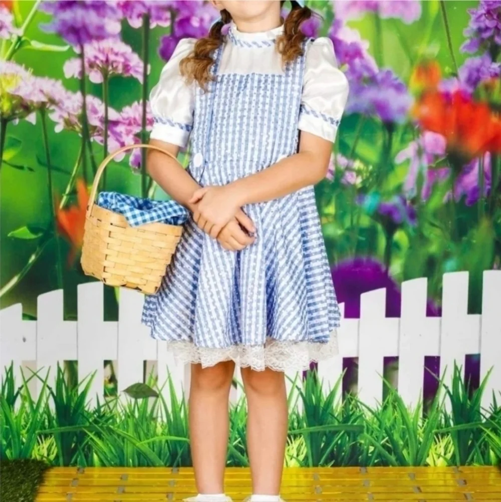 NWT Dorothy Wizard of OZ Halloween Costume Cosplay Child's Small 3-4 Years New